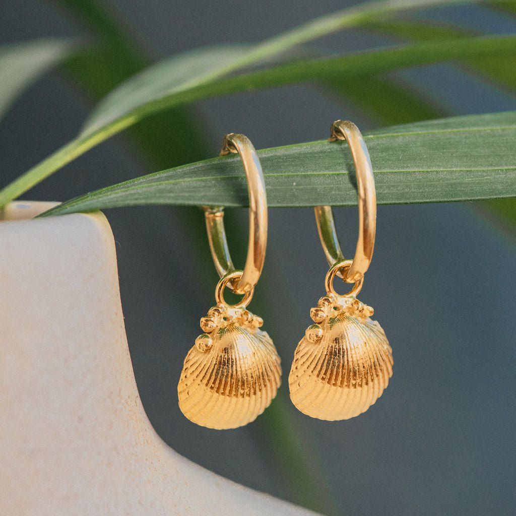 Gold Seashell Hoop Earrings - Dainty London