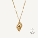 Chunky Solid 9ct Gold Maxi Periwinkle Necklace - Dainty London