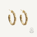 Solid Gold Hebe Hoops - Dainty London