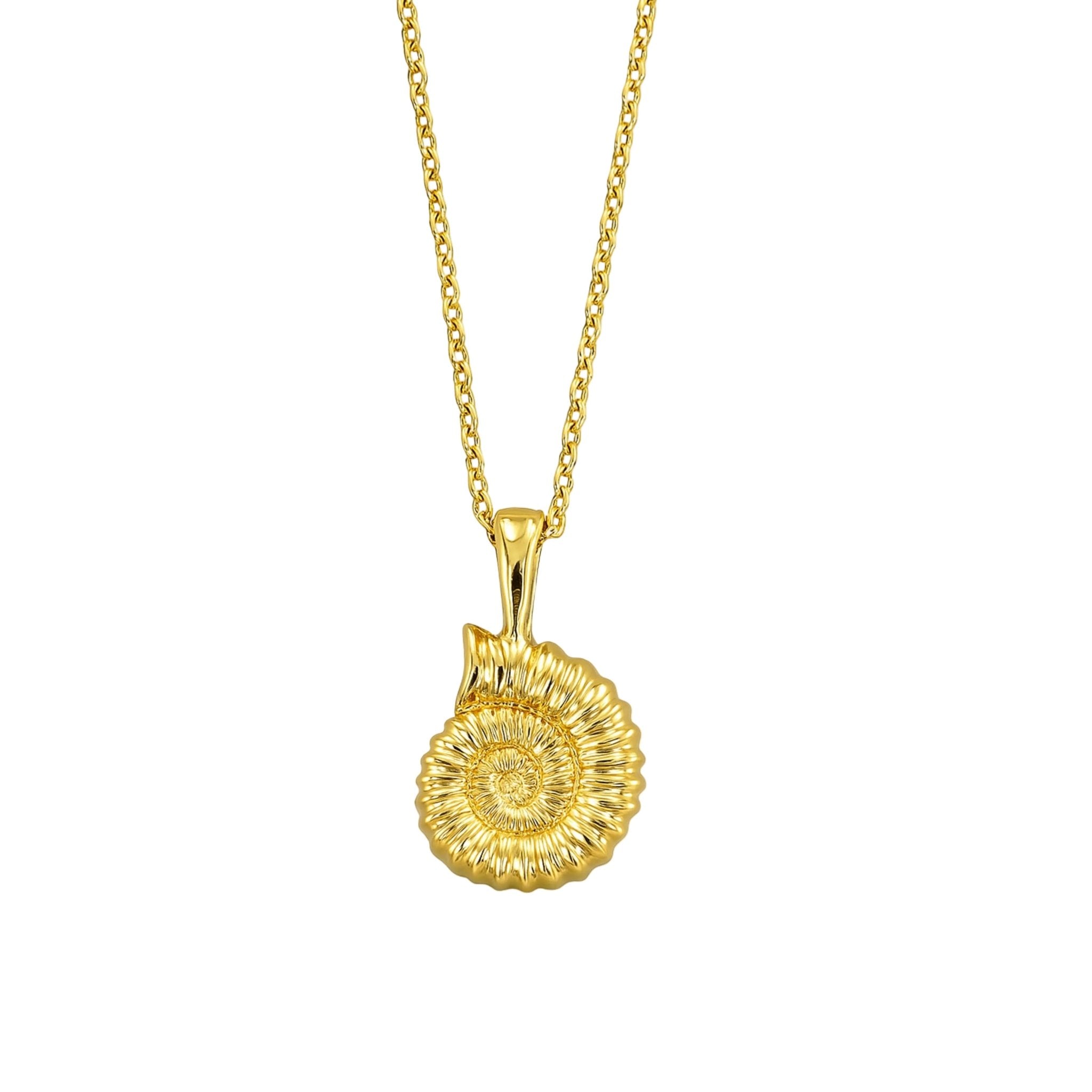 Dainty Gold Ammonite Fossil Necklace - Dainty London