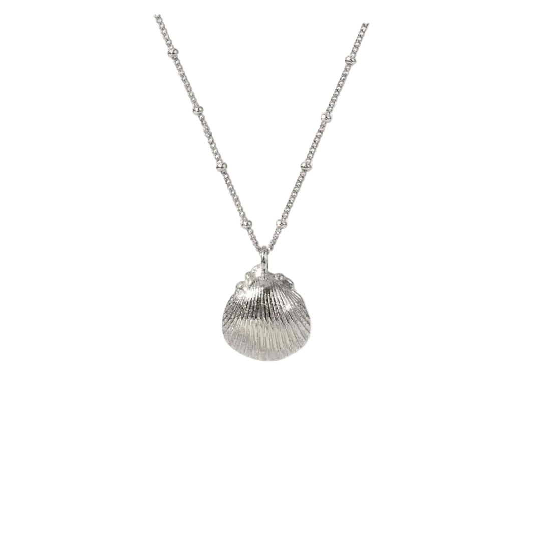 Dainty Silver Seashell Necklace - Dainty London