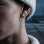 Dainty Silver Starfish Studs - Dainty London