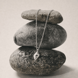 Large Silver Periwinkle Seashell Necklace - Dainty London