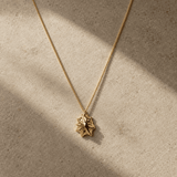 Solid 9ct yellow gold limpet seashell necklace with 1.5cm pendant on an 18 inch chain, handcrafted coastal fine jewellery by Dainty London