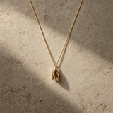 Solid 9ct yellow gold mussel seashell necklace with 1.5cm pendant on an 18 inch chain, handcrafted coastal fine jewellery by Dainty London