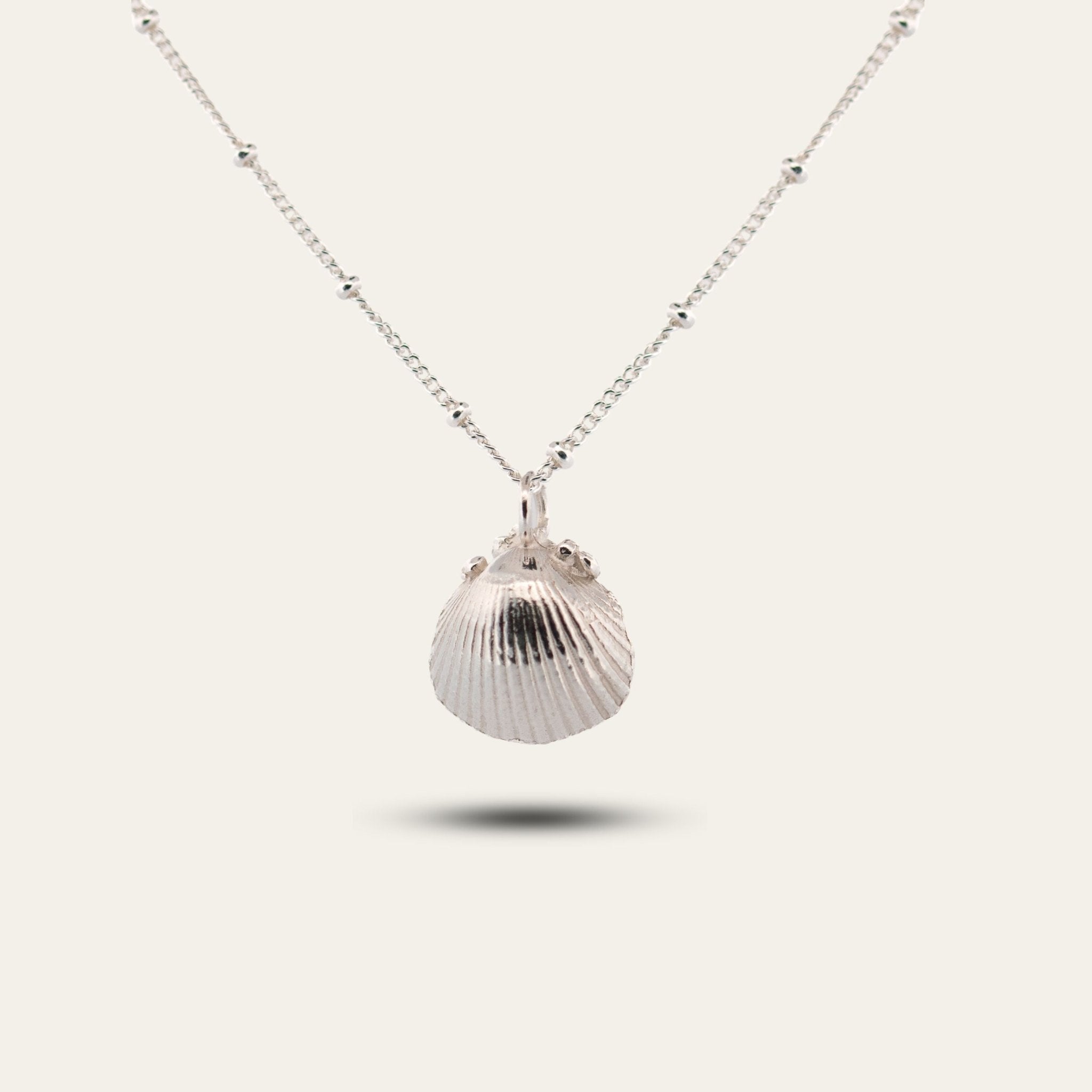 Silver Seashell Necklace - Sustainable beach jewellery - Dainty London