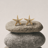 Solid 9ct Gold Starfish Stud Earrings - Dainty London