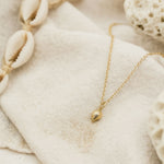 Solid Gold Mini Periwinkle Seashell Necklace - Dainty London