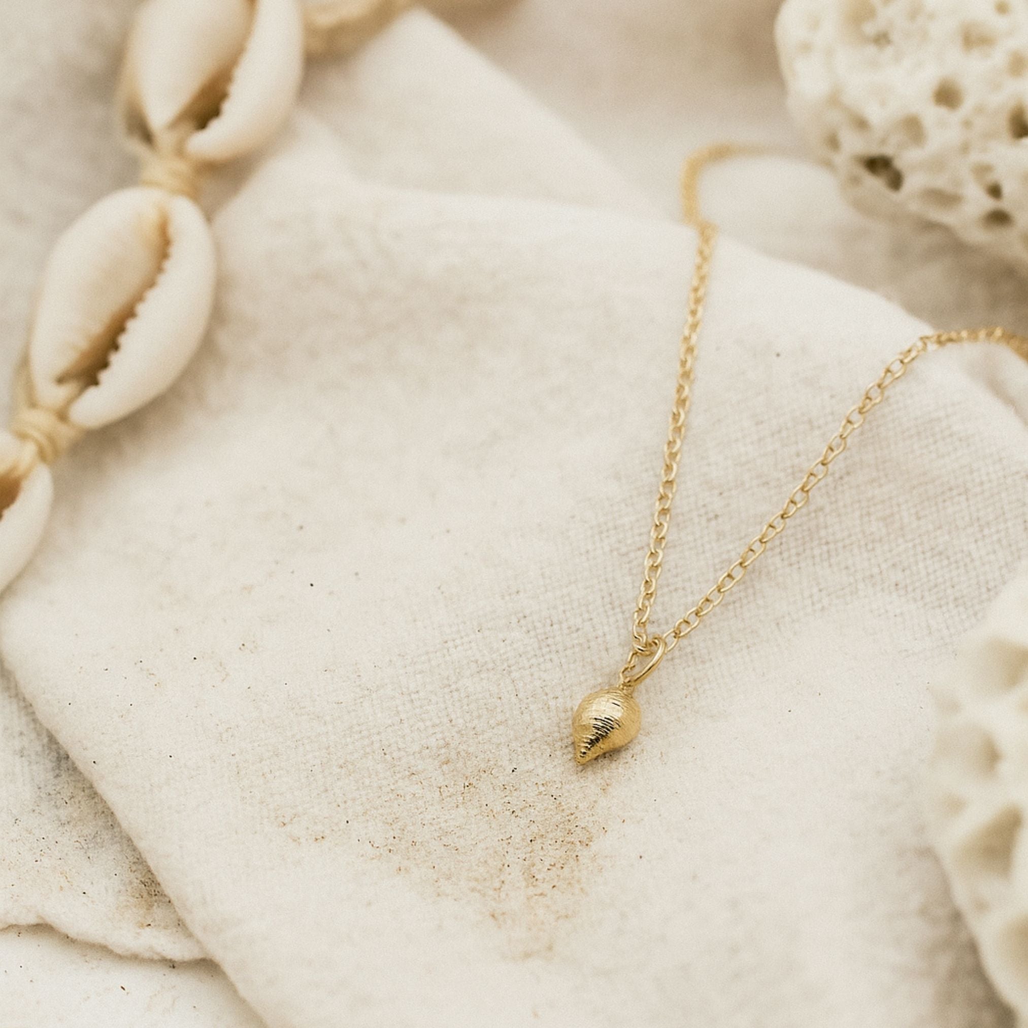 Solid Gold Mini Periwinkle Seashell Necklace - Dainty London