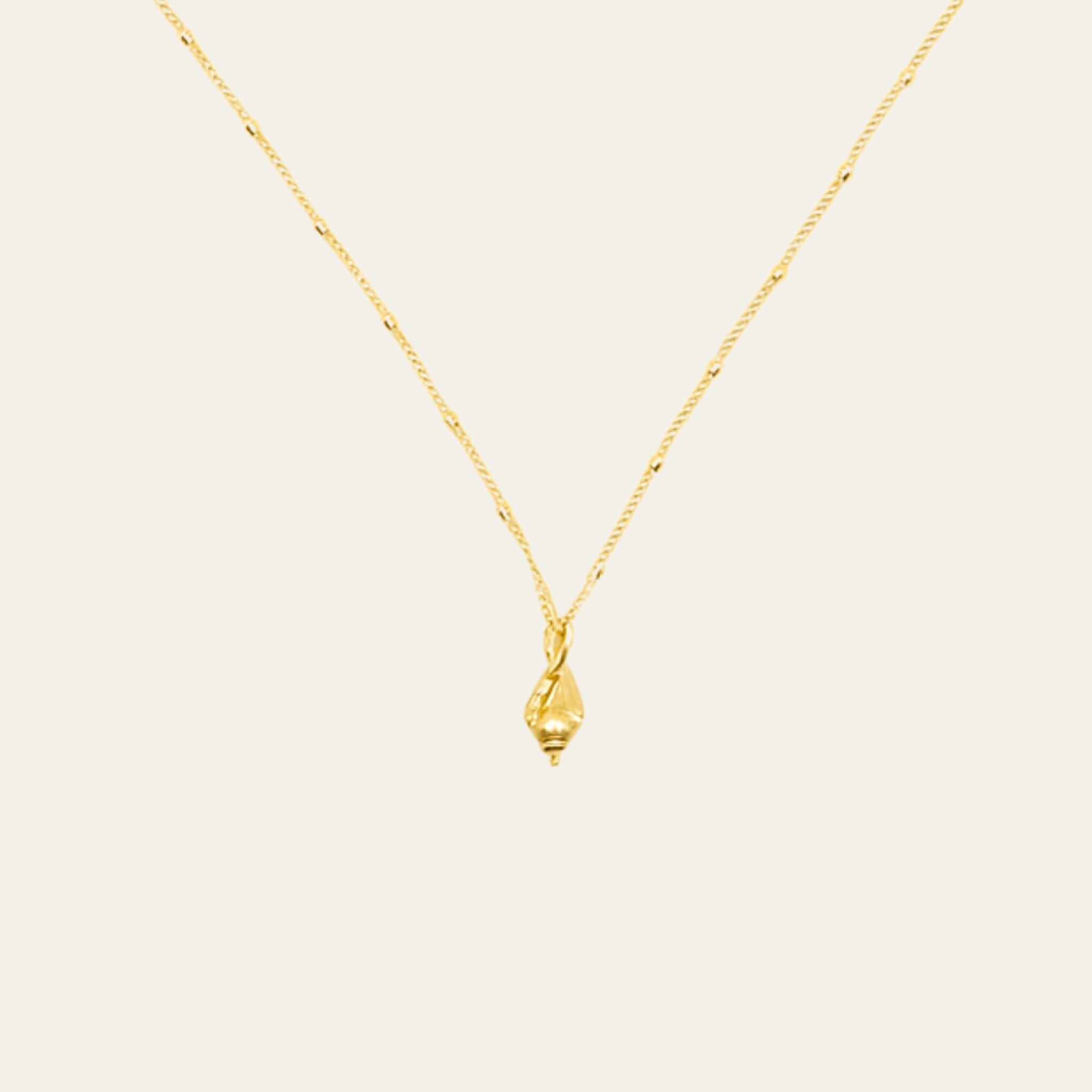 Solid Gold Mini Periwinkle Seashell Necklace - Dainty London