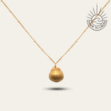 Solid Gold Seashell Necklace for Lovers of the Sea - Dainty London