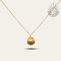 Solid Gold Seashell Necklace for Lovers of the Sea - Dainty London