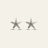 Starfish Studs - Dainty London