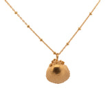Gold Seashell Necklace - Dainty London