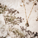 Gold Vermeil Alba Necklace - Dainty London