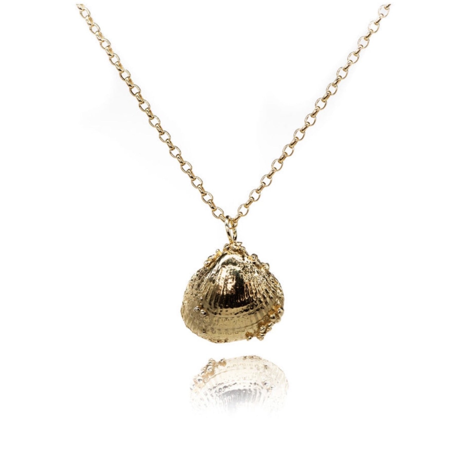 Large Gold Seashell Necklace - Dainty London