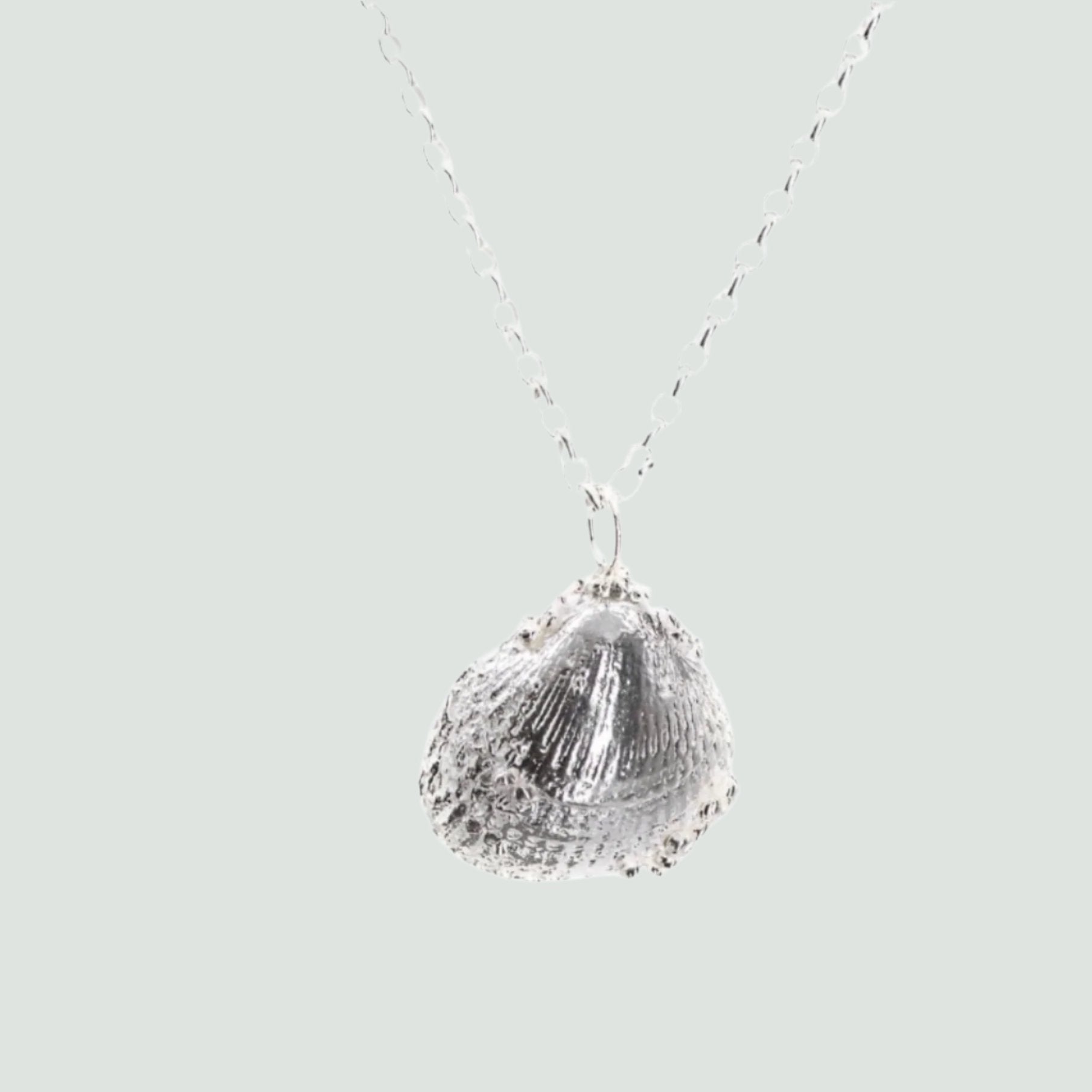 Large Seashell Necklace - Dainty London