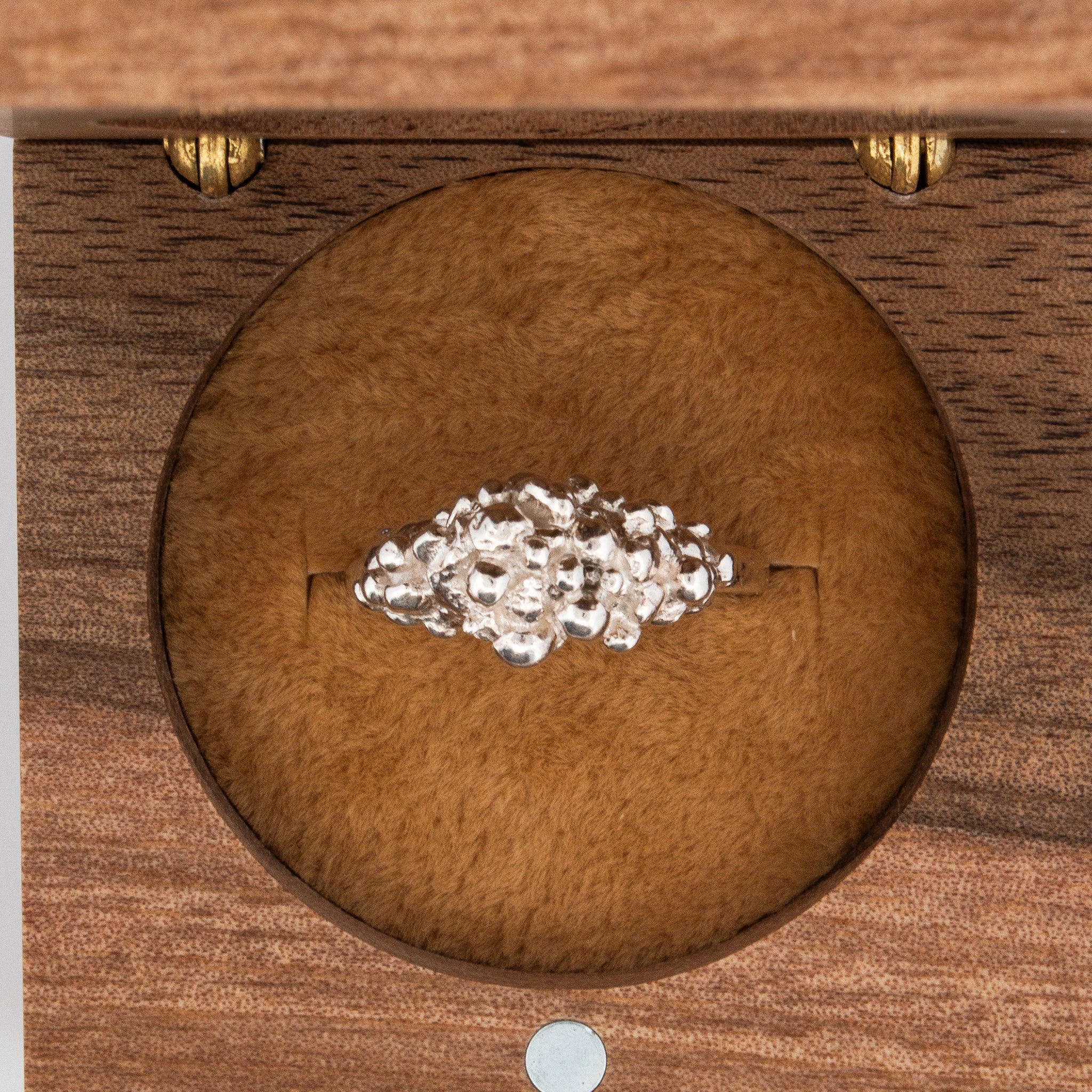 Silver Barnacle Ring - Dainty London