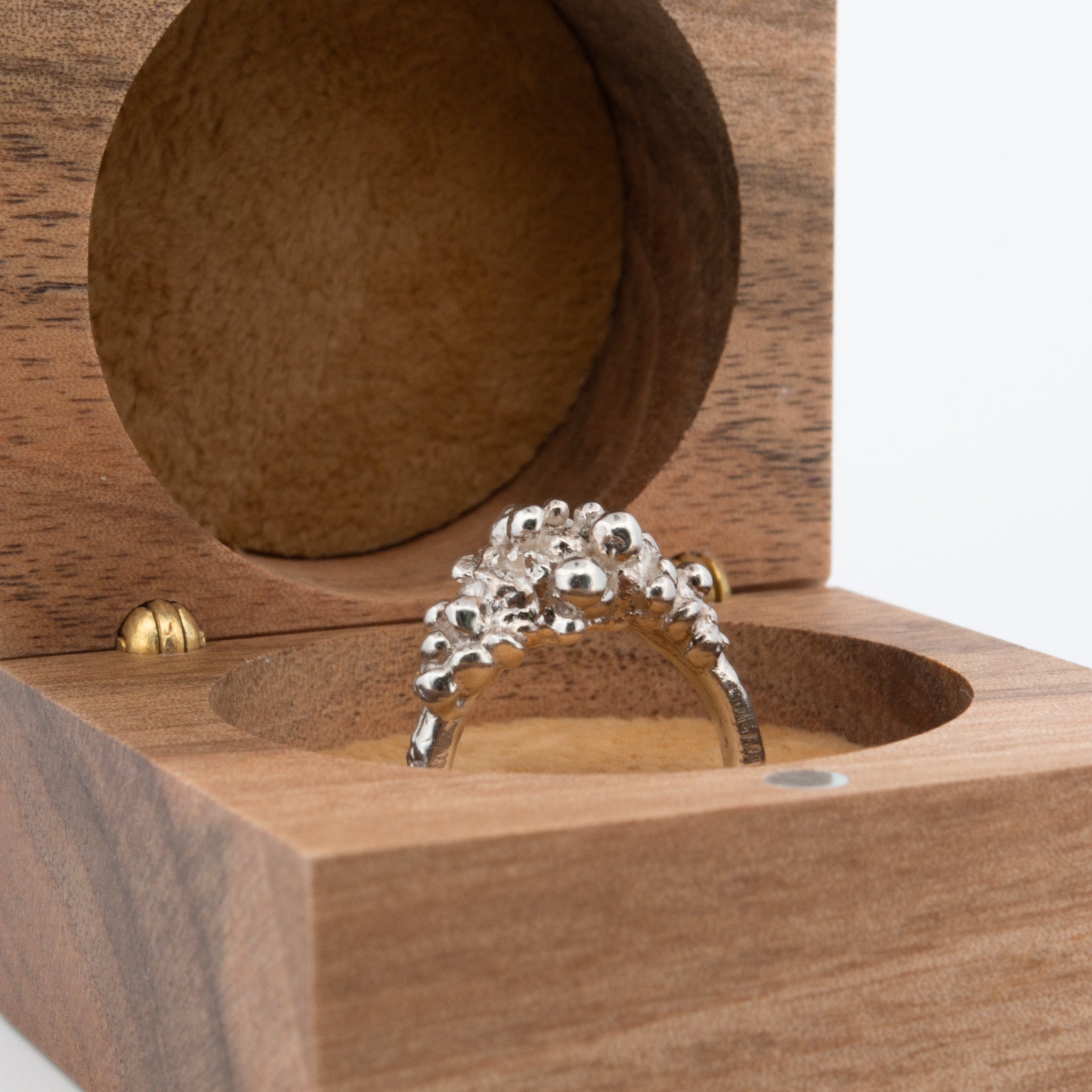 Silver Barnacle Ring - Dainty London