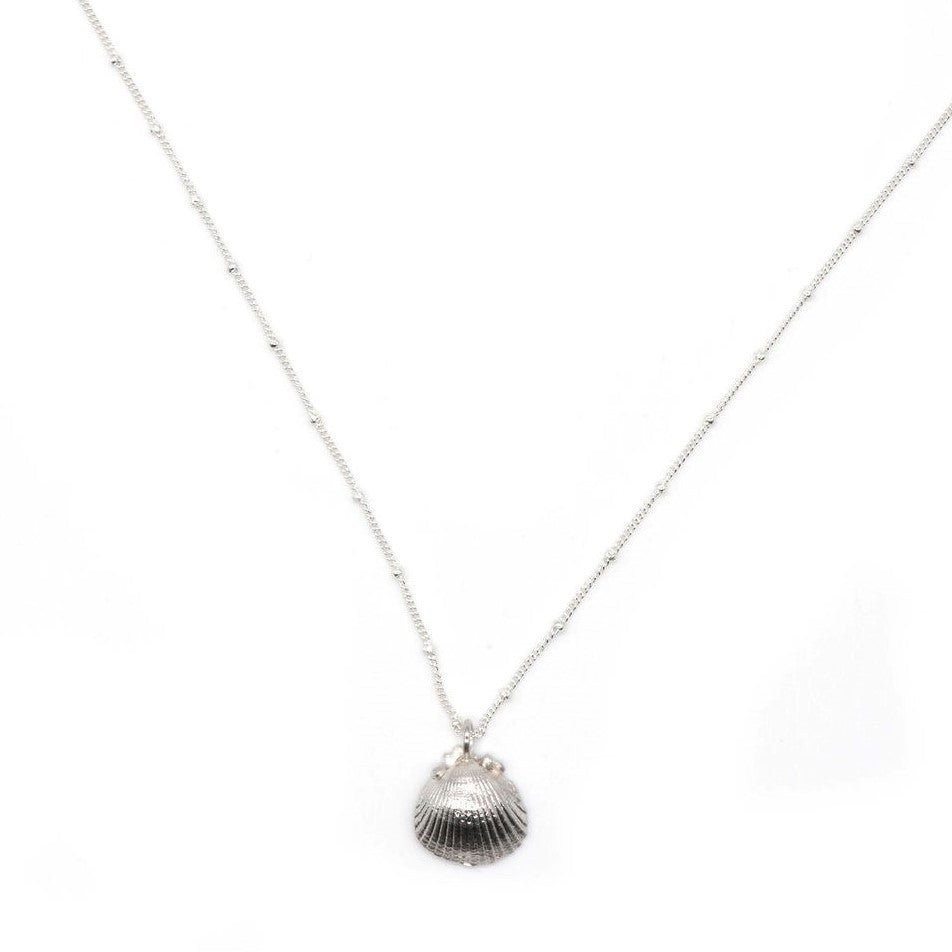 Silver Seashell Necklace - Dainty London