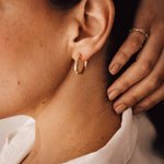 The Gold Hebe Hoops - Dainty London